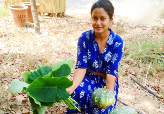 Nabanita Bajaj harvesting fresh vegetables