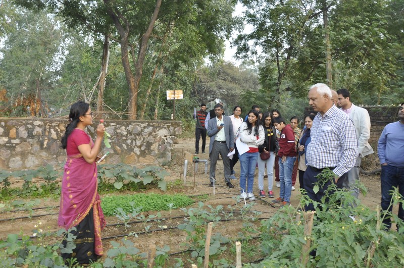 Farm gallery image 11