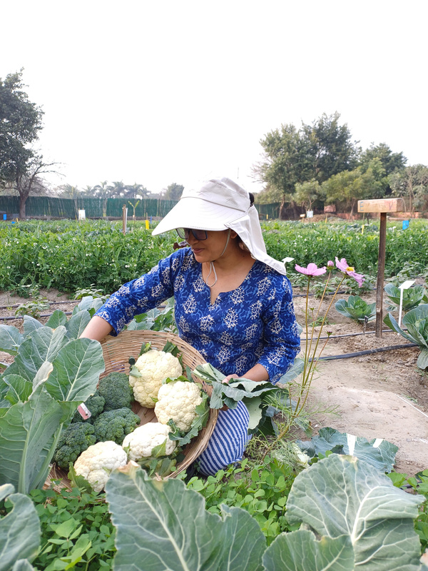 Nabanita teaching a child about soil
